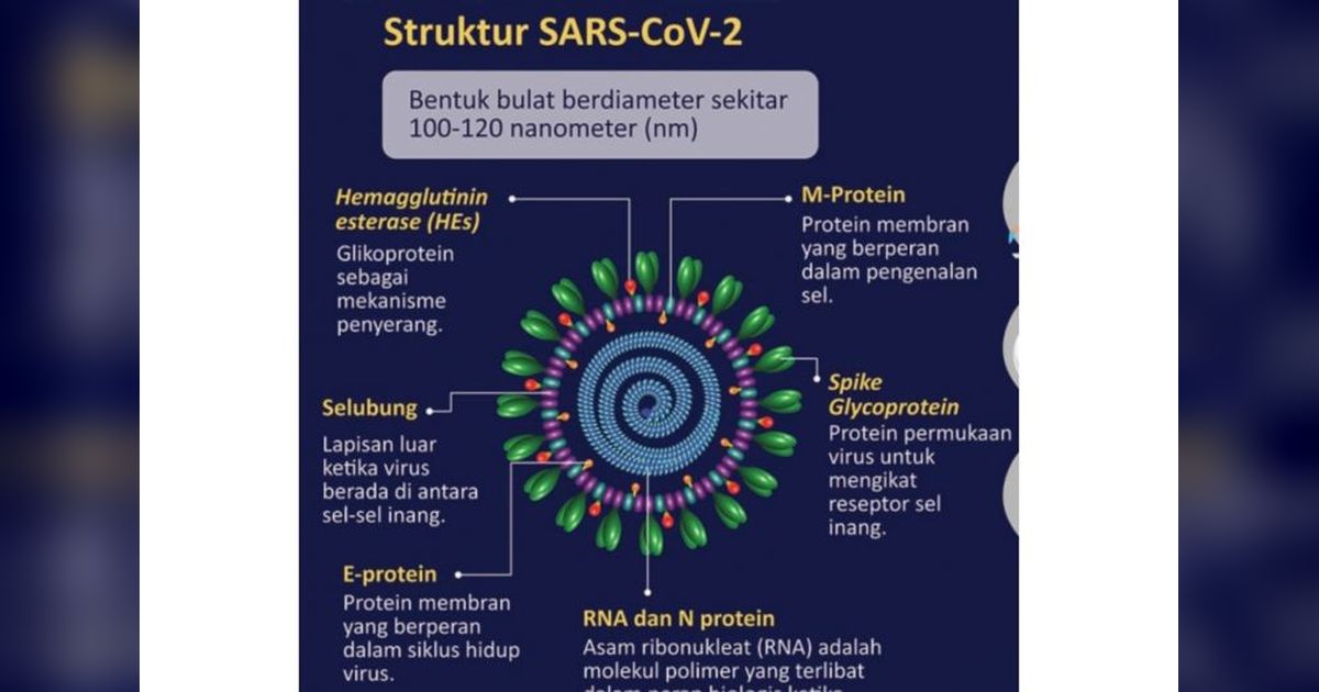 Waspada MERS-CoV! Kemenkes Imbau Jamaah Haji Jaga Kesehatan di Tanah Suci