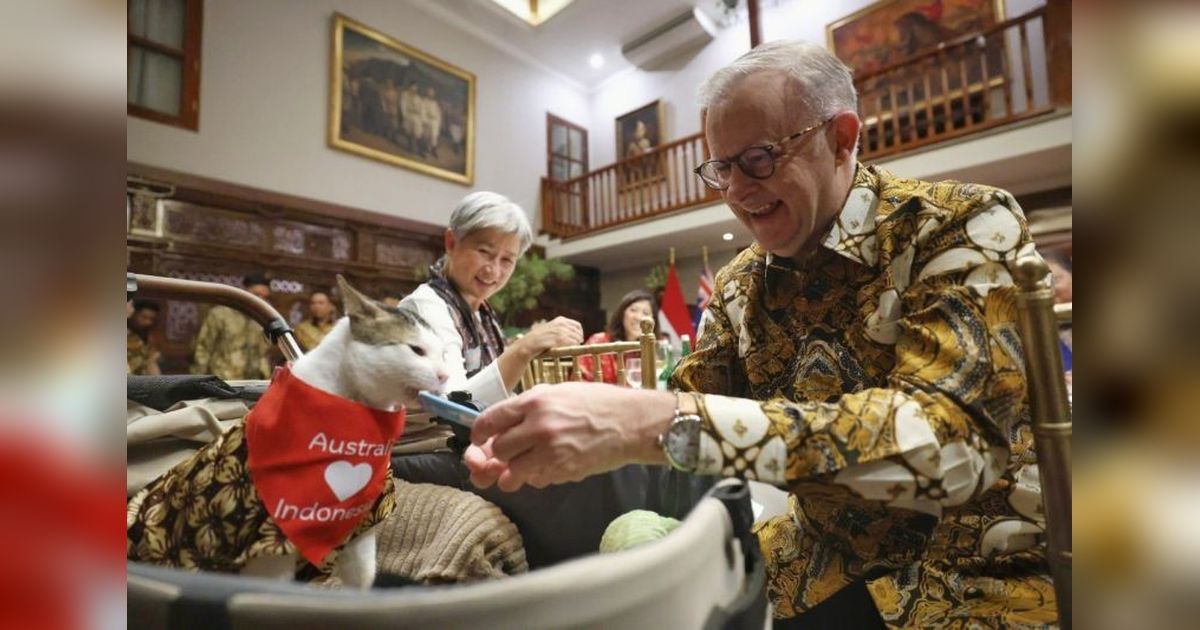 PM Australia Beri Kucing Prabowo, Bobby Kertanegara, Kalung Syal Merah