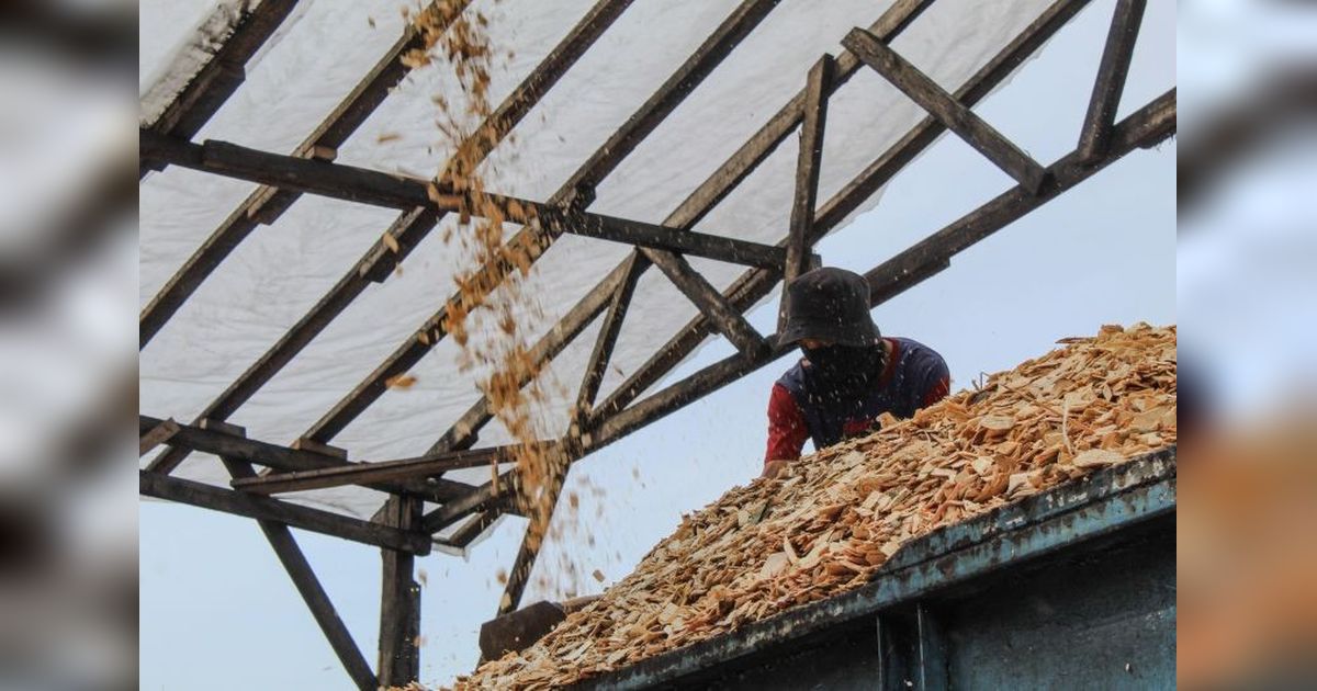 Limbah Kayu di Lampung:  Dari Sampah Menjadi Emas, Tingkatkan Ekonomi Masyarakat