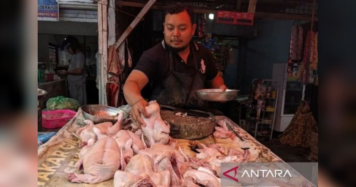 Harga Daging Ayam Naik, Bawang Merah Turun: Bapanas Catat Pergerakan Harga Pangan Terbaru