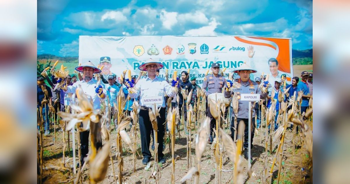 Rp5 Triliun untuk Petani Jagung: Mentan Pastikan Serap 1 Juta Ton Jagung