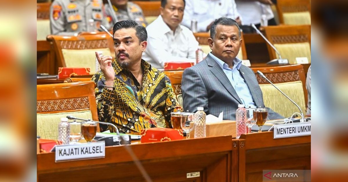 Menteri UMKM Dorong Sanksi Administratif, Bukan Pidana, untuk Pelanggaran UMKM