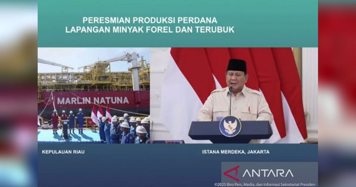 Lapangan Minyak Forel dan Terubuk di Natuna Resmi Dibuka, Dorong Kemandirian Energi Indonesia