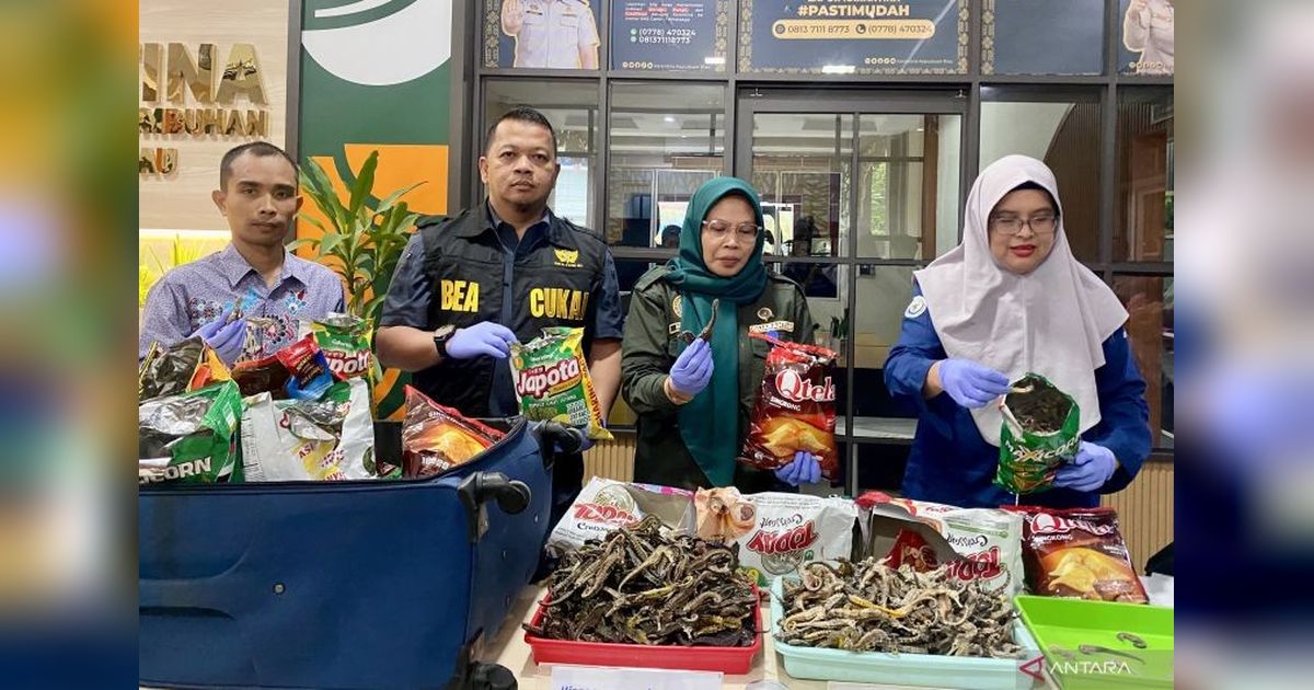 Karantina Kepri Gagalkan Penyelundupan Kuda Laut Rp40 Juta dari Mesir