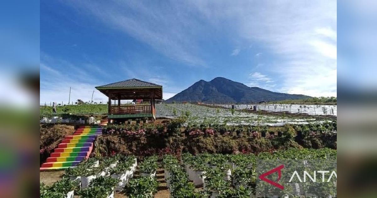Farenza Garden Merangin: Nominasi API Awards 2025, Harumkan Pariwisata Jambi!