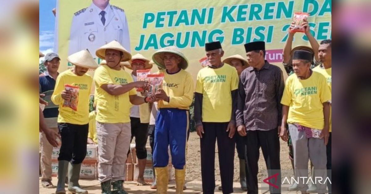 Pemda Muna Barat Tanam Jagung Kuning 1.500 Hektare, Dorong Ketahanan Pangan dan Kesejahteraan Petani