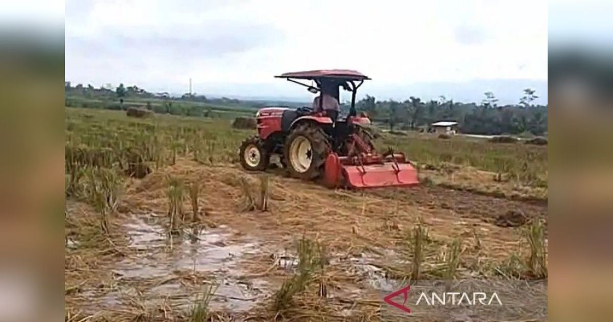 Banjarnegara Kejar Target Luas Tambah Tanam 4.000 Hektare, Tantangan dan Upaya Optimalkan Pertanian