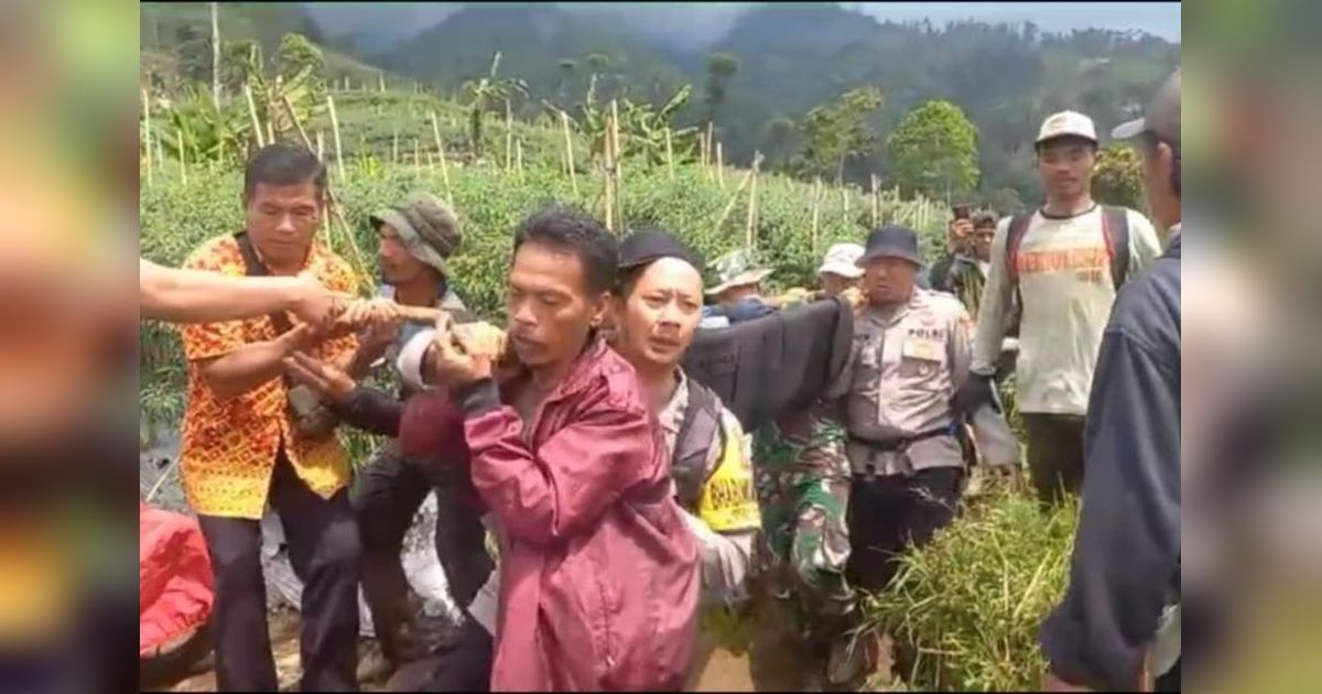 Pendaki Hilang di Gunung Cikuray Ditemukan Selamat!