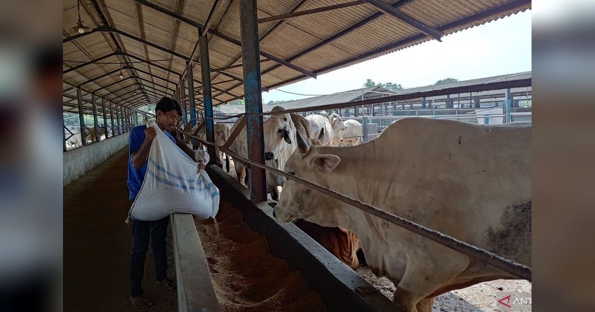 Pemkot Tangsel Perketat Pengawasan Hewan Kurban Jelang Idul Adha