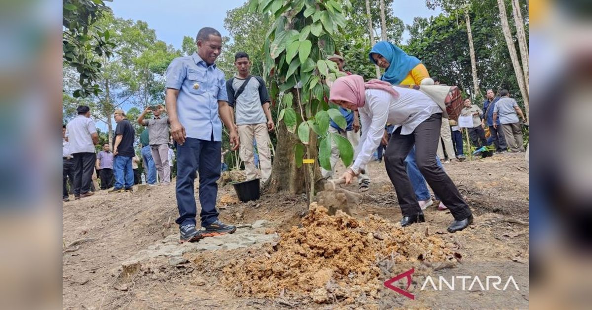 BRIN dan Pemkab Bulungan Kolaborasi Bangun Pusat Konservasi Flora di Kalimantan Utara