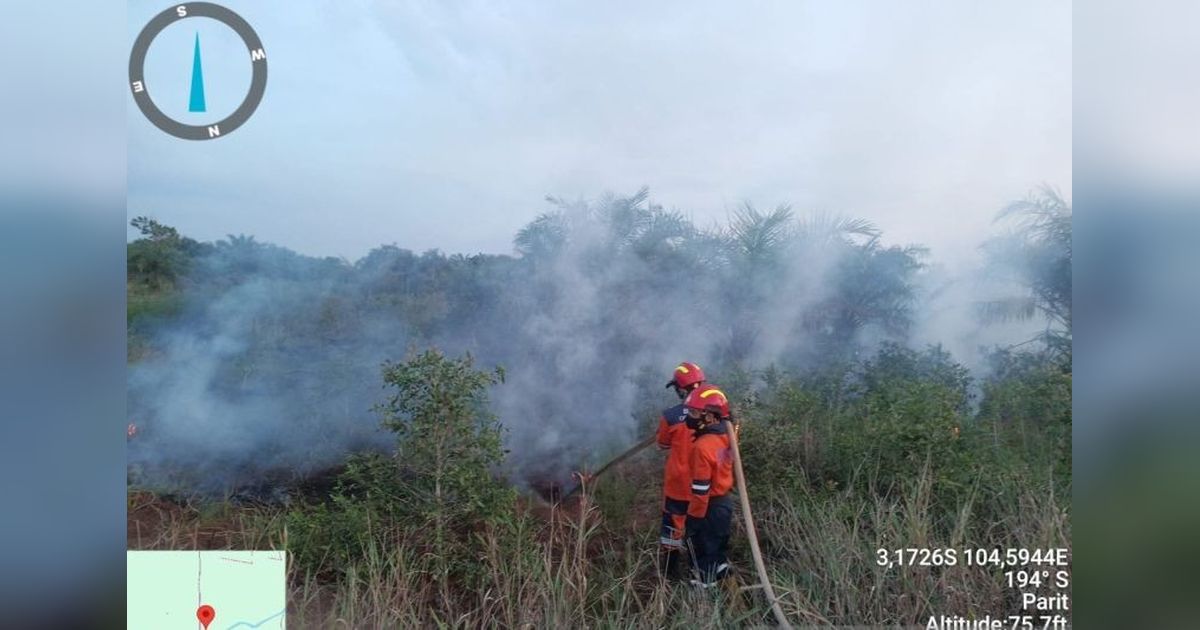 BNPB Padamkan Karhutla di Sumsel dan Kalteng, Waspada Musim Kemarau!