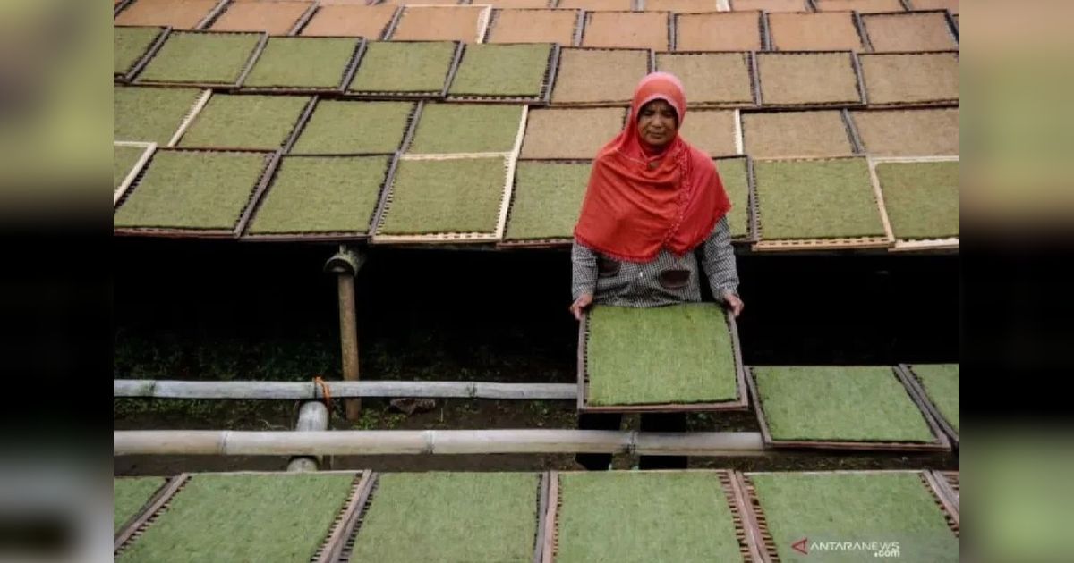 Pemprov Sumsel Revisi UMSP 2025: 9 Sektor Jadi Acuan!