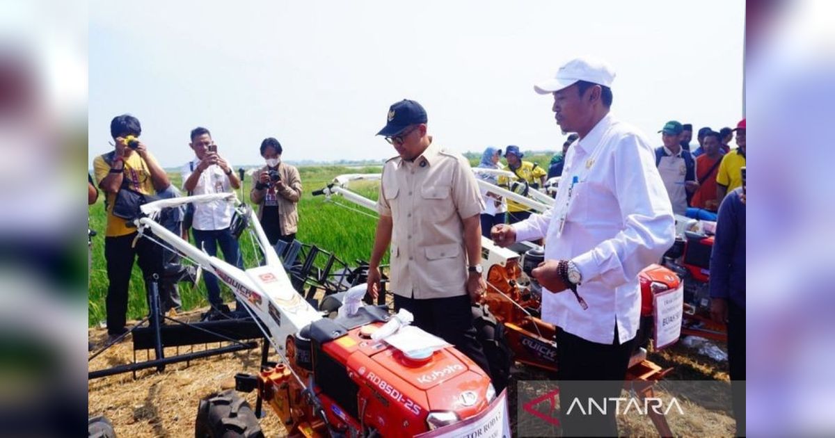 Surplus Gabah Petani Batang Capai 58 Ribu Ton, Dukungan Swasembada Beras Nasional