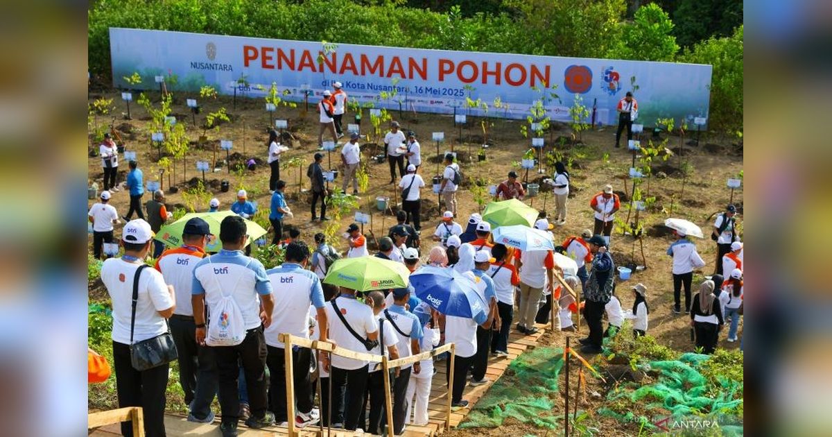 IKN Dorong Kebiasaan Baru: Tanam Pohon untuk Kota Hutan Berkelanjutan