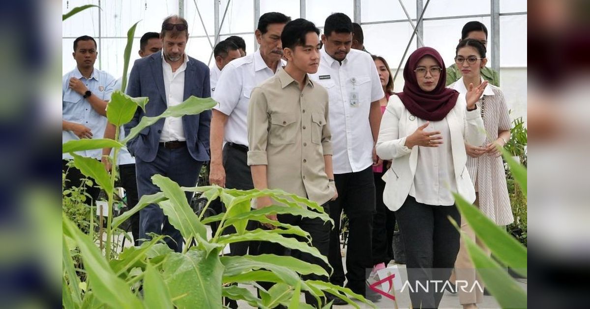 Gibran Apresiasi Inovasi Riset Herbal Humbahas: Dorong Kemandirian Pangan Nasional