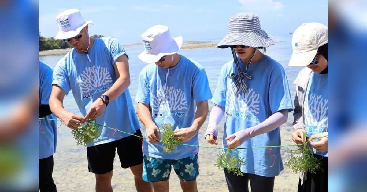 Midea Tanam 1000 Koral dan Rumput Laut di Pulau Tidung, Dukung Lingkungan Berkelanjutan
