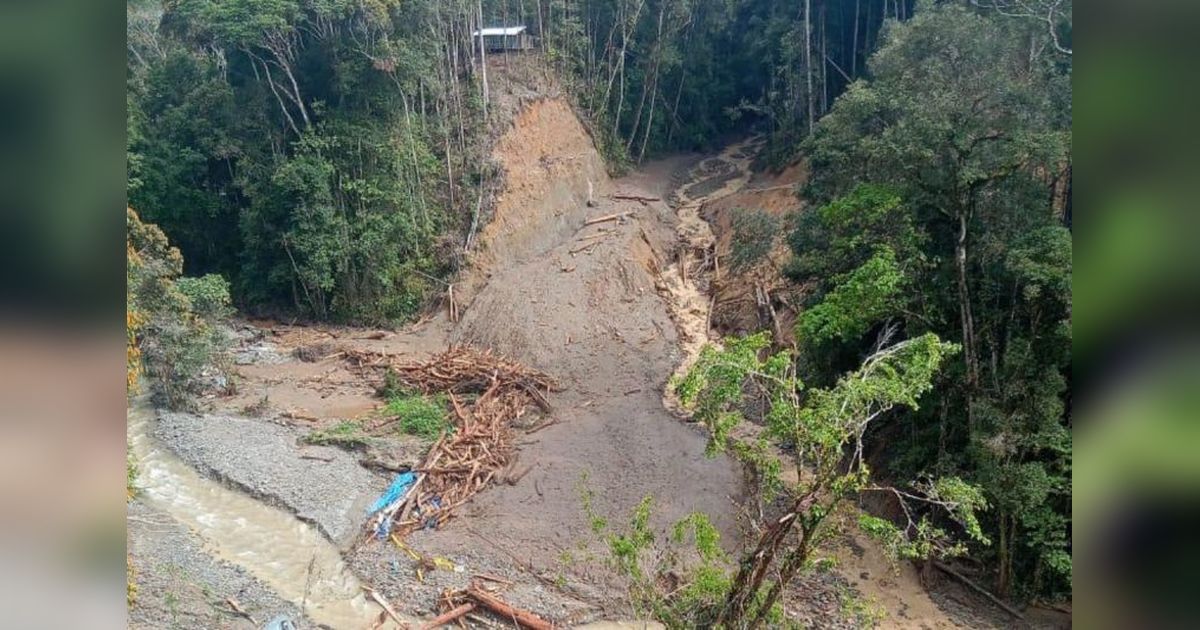 Basarnas Cari 19 Warga Hilang Akibat Banjir Bandang di Pegunungan Arfak