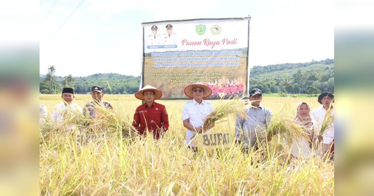 Tapsel Tingkatkan Intensitas Tanam Padi, Dorong Swasembada Pangan Nasional