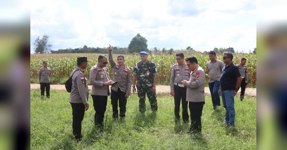 Presiden Prabowo Diharapkan Hadiri Panen Raya Jagung di Bengkayang, Kalbar