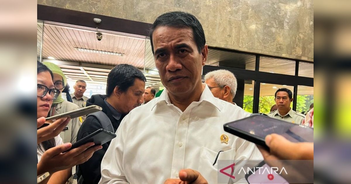 Mentan Usul Pengendalian Impor Singkong: Lindungi Petani dan Kedaulatan Pangan