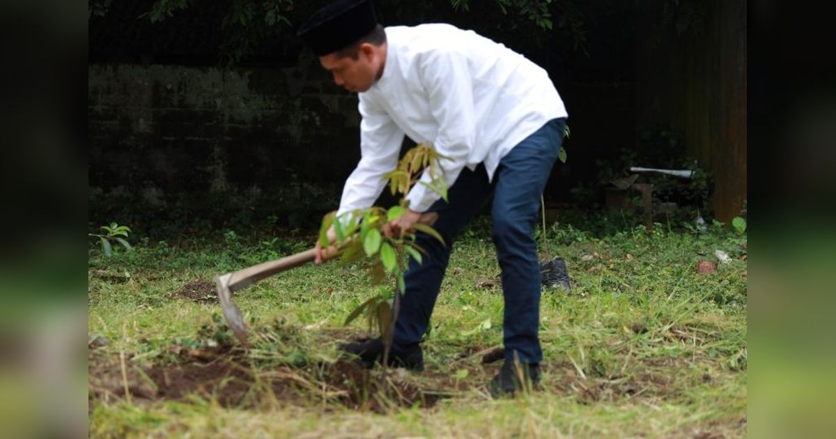 PLN Tanam Pohon di Jember dan Kediri: Komitmen Hijau untuk Masa Depan Indonesia