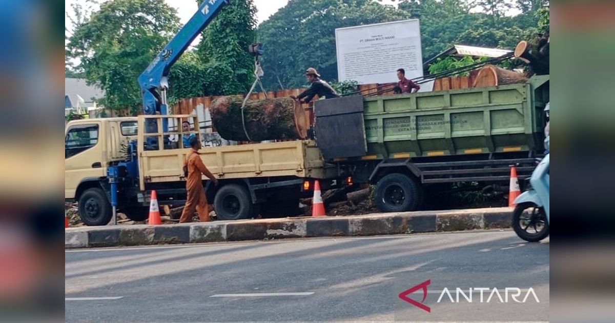 Jalan Dago Bandung Kembali Normal Setelah Pohon Tumbang, Tiga Warga Luka-luka