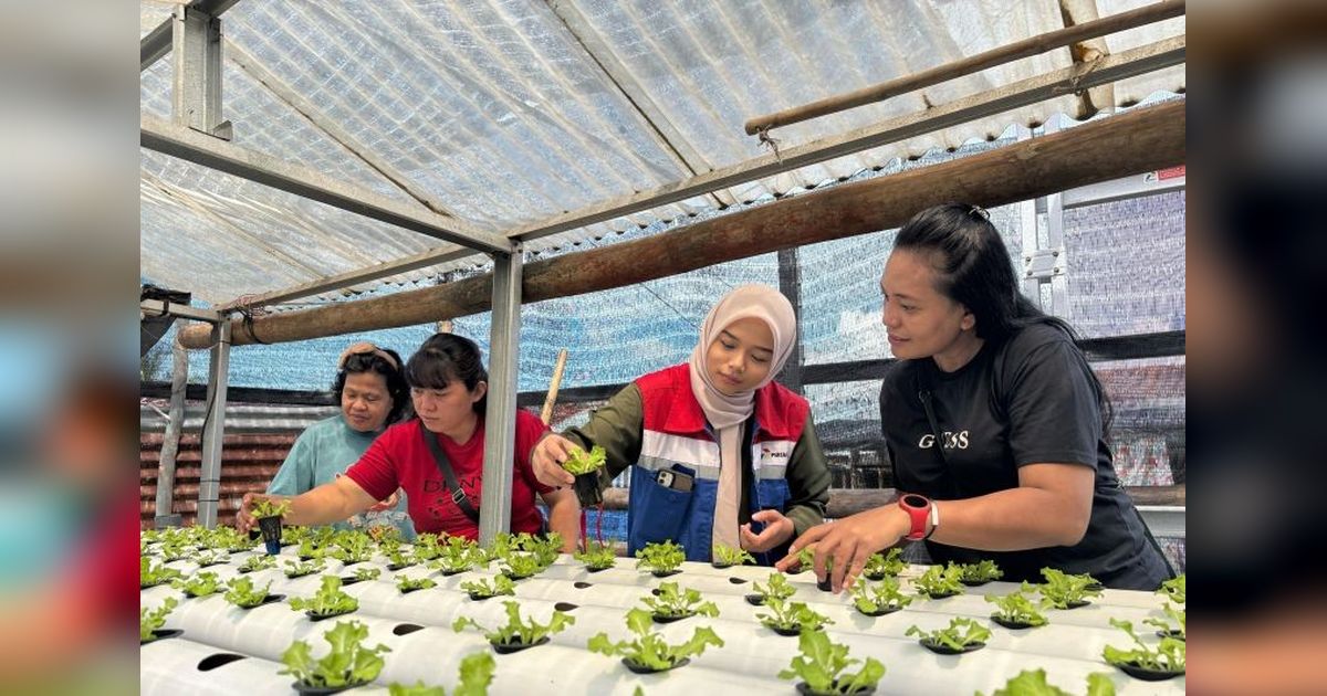 Pertamina Berdayakan IRT Bitung lewat Hidroponik Ramah Lingkungan: Wujudkan Ketahanan Pangan dan Ekonomi Berkelanjutan