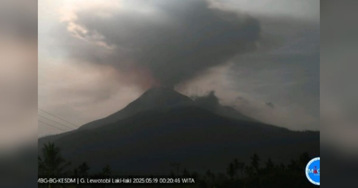 Gunung Lewotobi Laki-laki Erupsi, Lontarkan Abu Vulkanik hingga 1.200 Meter