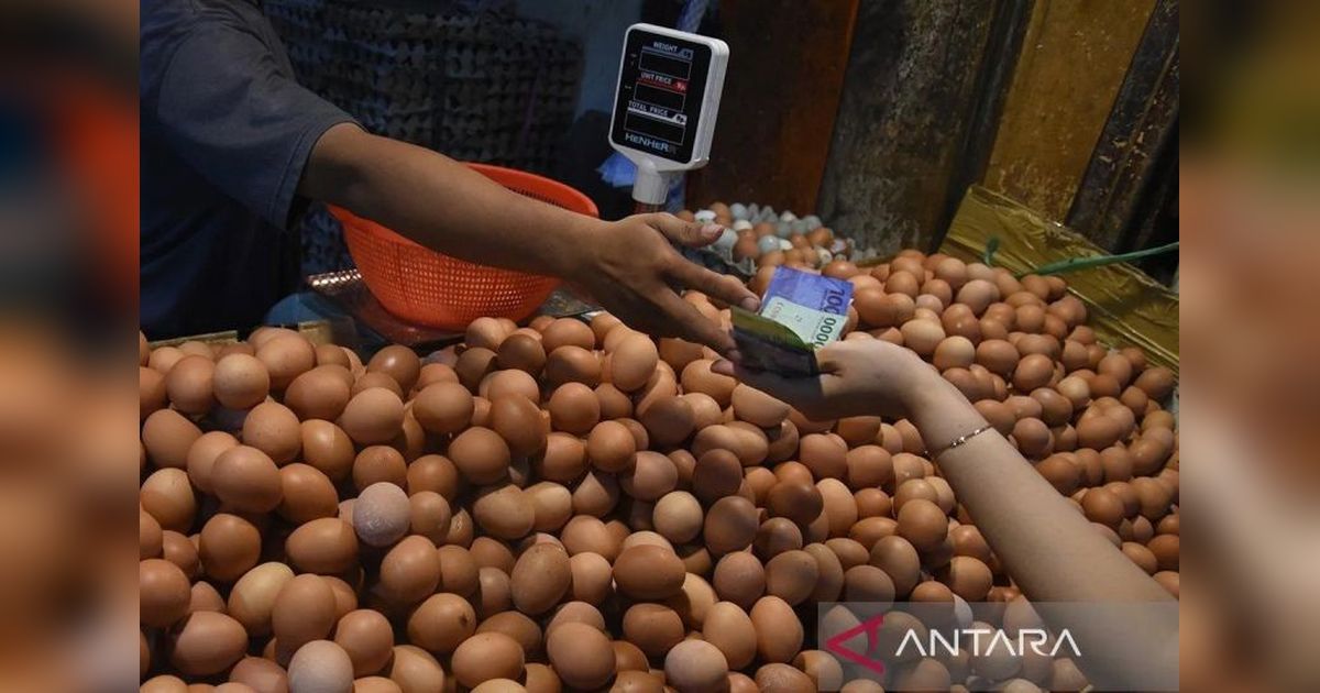 Bapanas: Harga Telur Ayam Ras Rp29.018/kg, Bawang Merah Turun Jadi Rp37.800/kg