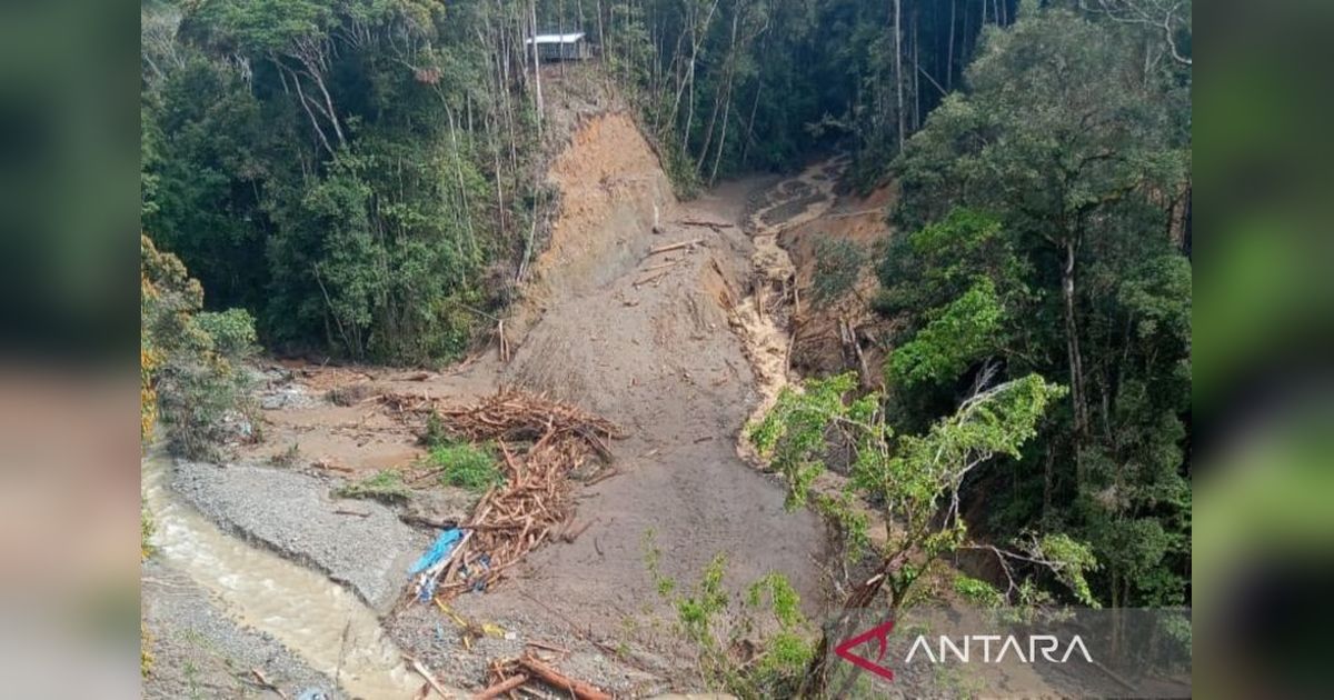 Banjir Bandang Pegunungan Arfak: Satu Meninggal, 19 Hilang, Tim SAR Terkendala Jaringan Komunikasi