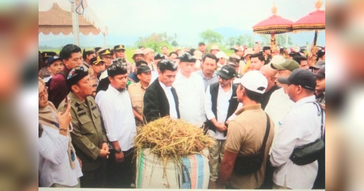 Mentan Dorong Petani Luwu Timur Panen Padi Empat Kali Setahun dengan Sistem Super Genjah