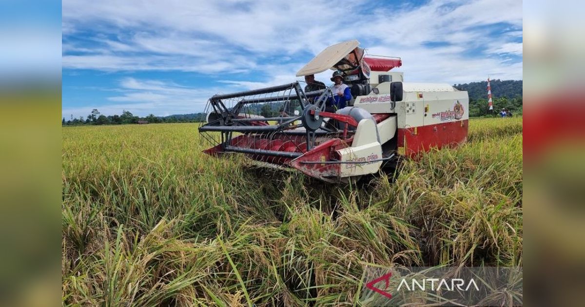 Gubernur Papua Barat Fokus Kembangkan Lima Program Unggulan Pertanian Hingga 2025