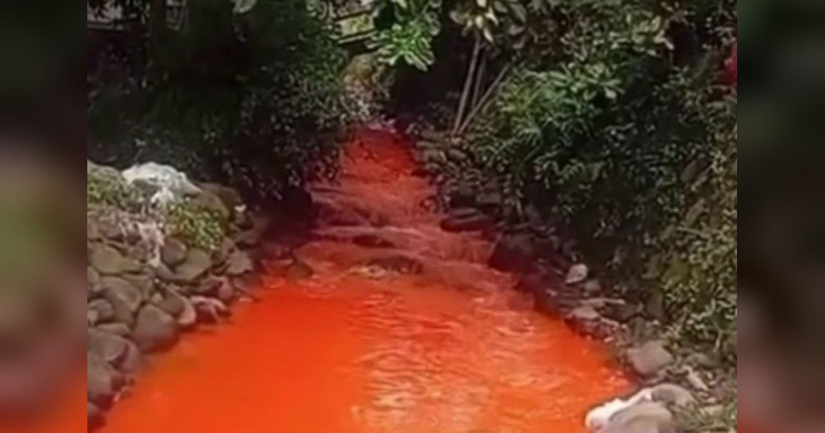 Sungai Berubah Oranye, Pemkab Bogor Tindak Tegas Industri Pencemar Lingkungan!