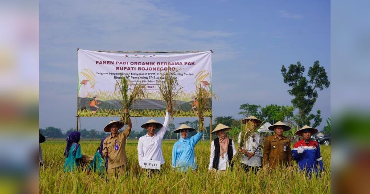 Pemkab Bojonegoro Dorong Pertanian Padi Organik, Targetkan Kesejahteraan Petani Meningkat
