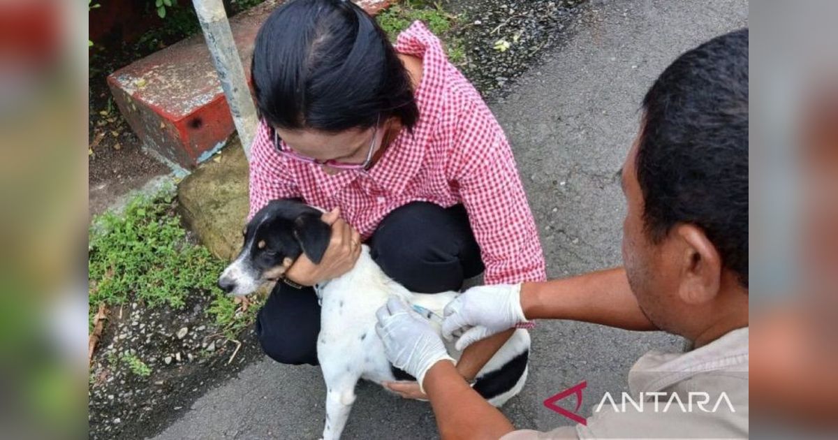 Unpatti Gandeng Pemprov Maluku Tingkatkan Pengendalian Rabies di Ambon
