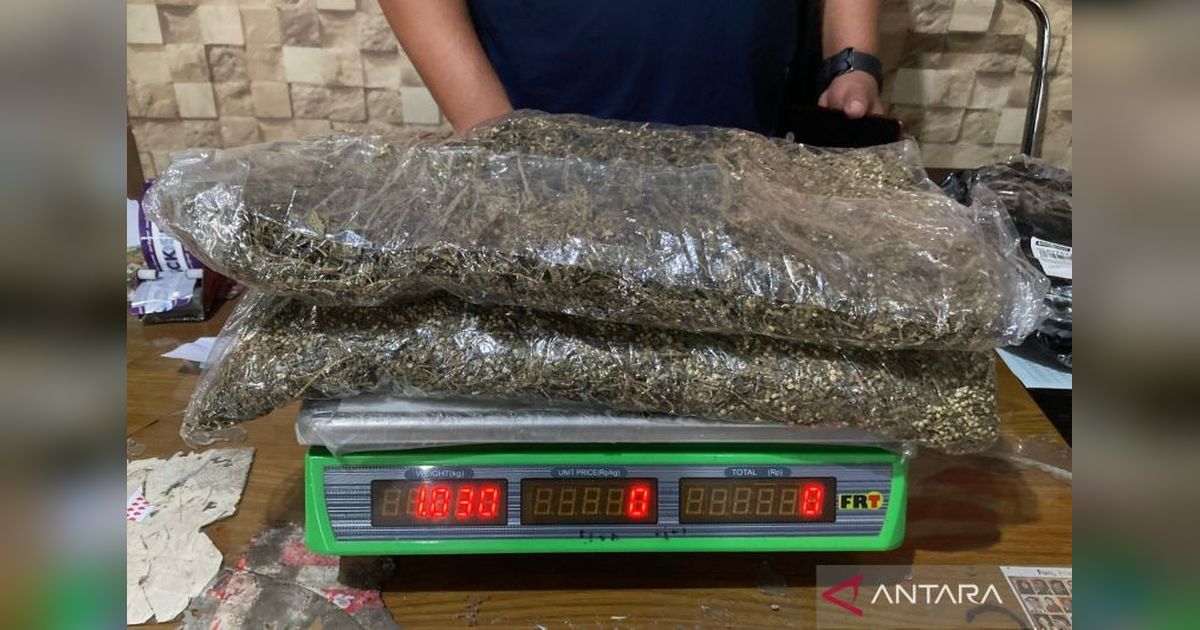 BNNP NTB Gagalkan Pengiriman 1 Kg Ganja dari Medan ke Lombok Timur