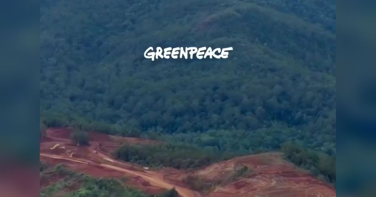 Pemprov Papua Barat Daya Usut Dugaan Kerusakan Lingkungan Tambang di Raja Ampat