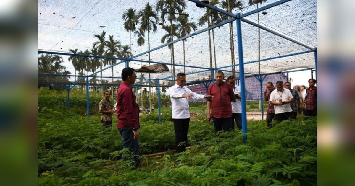 Semen Padang dan PPNP Distribusikan 2 Juta Bibit Kaliandra Merah untuk Energi Terbarukan