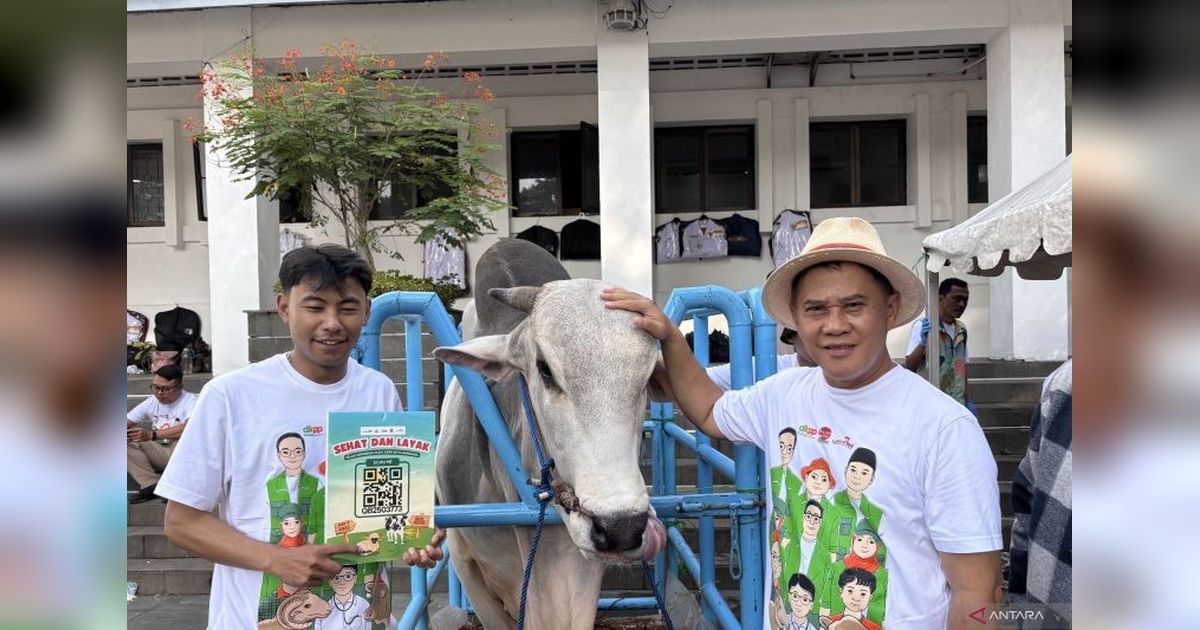 DKPP Bandung Kerahkan 156 Petugas Periksa Kesehatan Hewan Kurban Jelang Idul Adha 2025