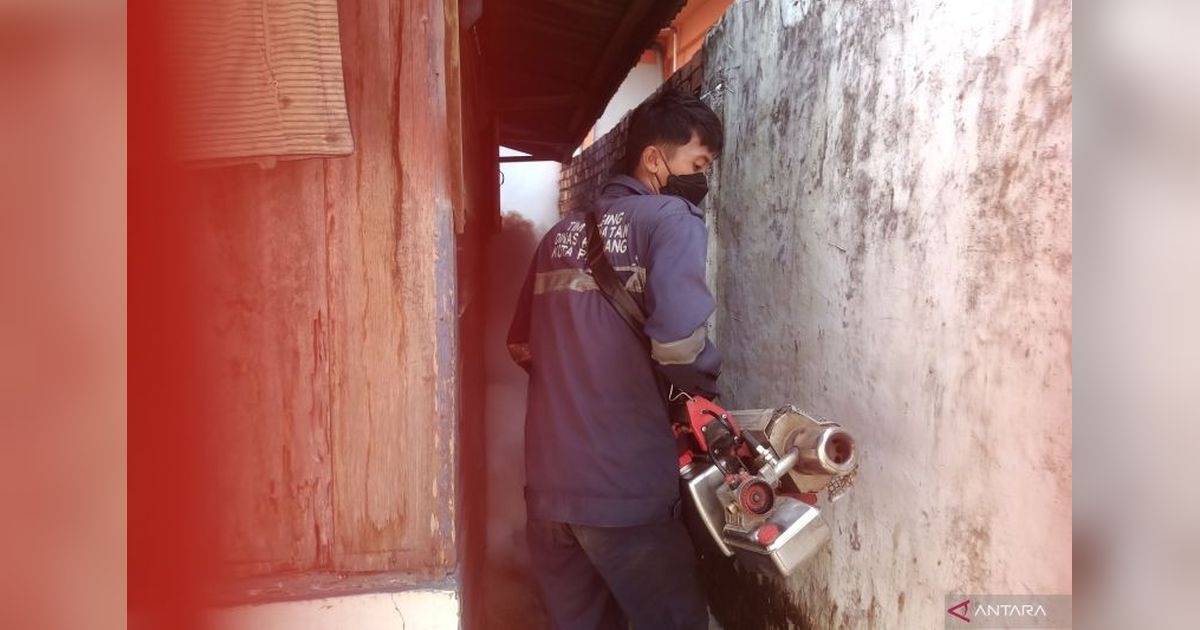 Waspada! Dinkes OKU Catat 113 Kasus DBD Hingga Mei 2025, Ini Imbauannya!