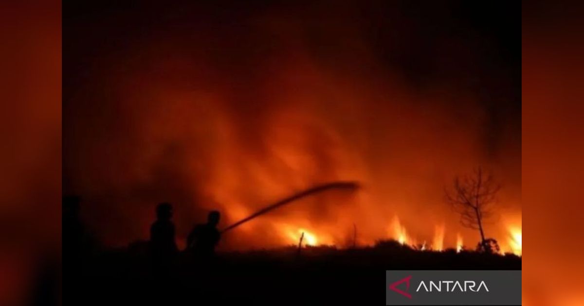 Antisipasi Karhutla, Dinsos Kalsel Mitigasi Dampak Puncak Kemarau 2025