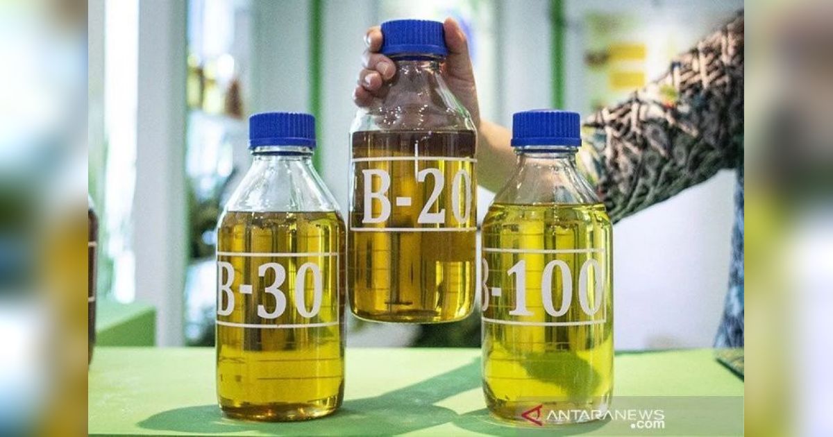 Angka Fantastis! Konsumsi Biodiesel Domestik RI Diproyeksi Capai 15,6 Juta Kiloliter pada 2025
