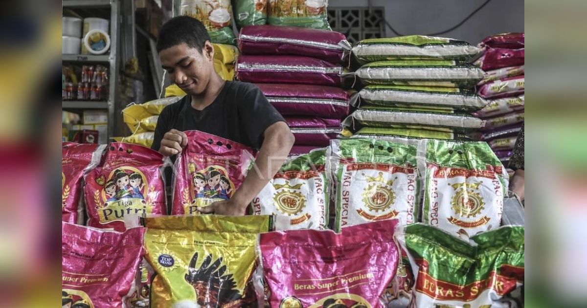 Mengapa Beras Langka? Pengamat Ungkap Kunci Pemulihan Kepercayaan Pelaku Usaha Jadi Solusi Krisis Nasional