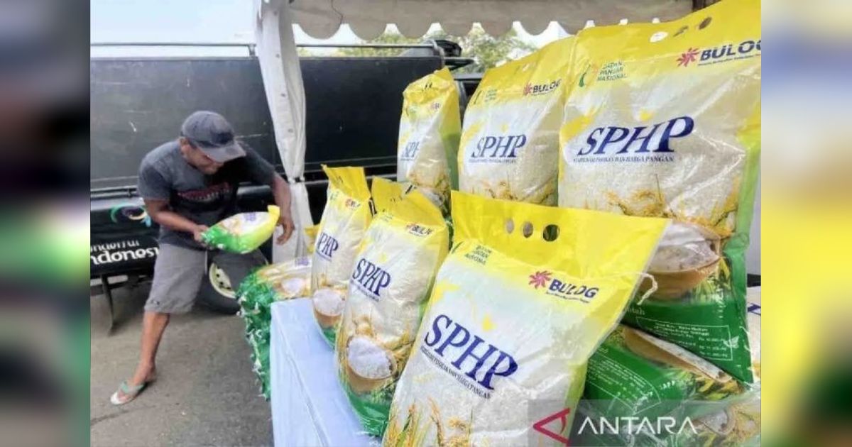 Fakta Unik Bulog Luwuk: 240 Ton Beras SPHP Disalurkan, Harga Pangan Aman di Tiga Kabupaten!