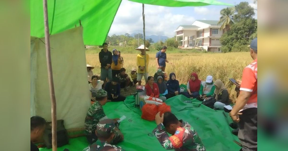 Tahukah Anda, Panen Padi Bengkayang Jadi Momentum Penting Perkuat Ketahanan Pangan Daerah?