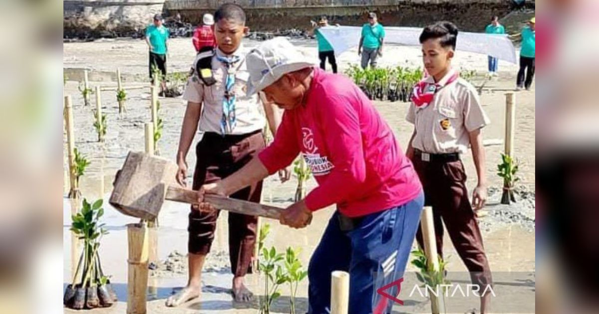 Fakta Unik: Alumni Beasiswa Korea Tanam 10.000 Mangrove, Dukung Penghijauan Sumenep dan Lingkungan Pesisir