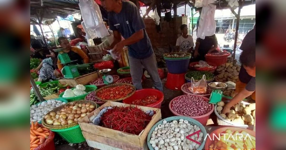 Trivia Stok: Bangka Belitung Tambah 385 Ton Pasokan Minyak Goreng, Harga Stabil di Tengah Kebutuhan Warga