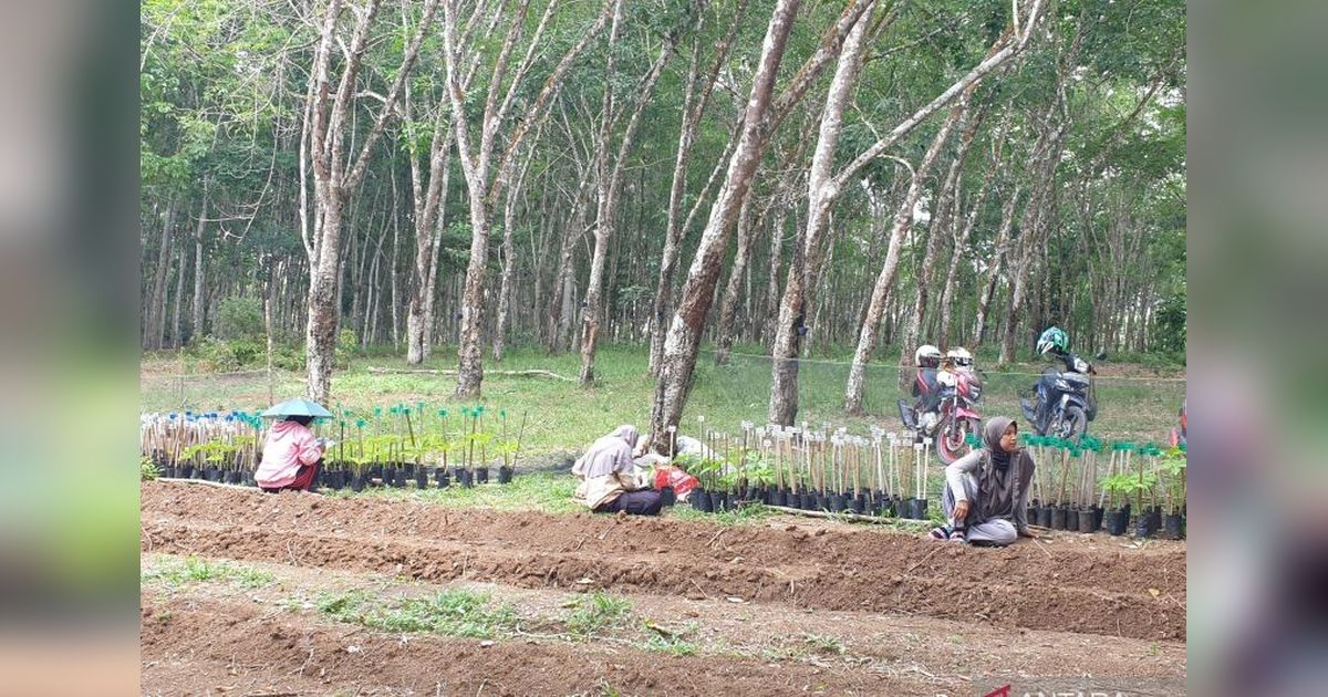 Tahukah Anda? Banyuasin Masuk 5 Besar Nasional Penghasil Gabah, Bupati Ajak Lulusan SMK Pertanian Banyuasin Optimalkan Lahan