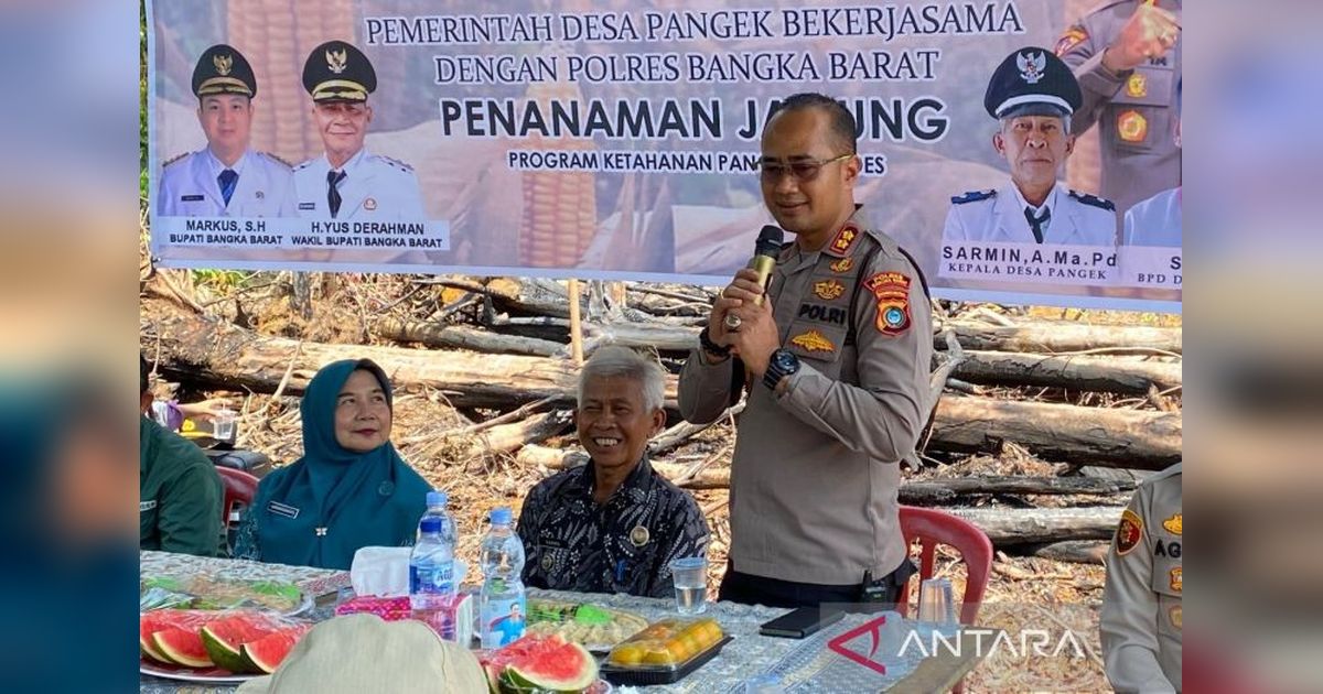 Tahukah Anda? Polres Bangka Barat dan Pemdes Pangek Garap 1,5 Hektar Lahan untuk Ketahanan Pangan Nasional