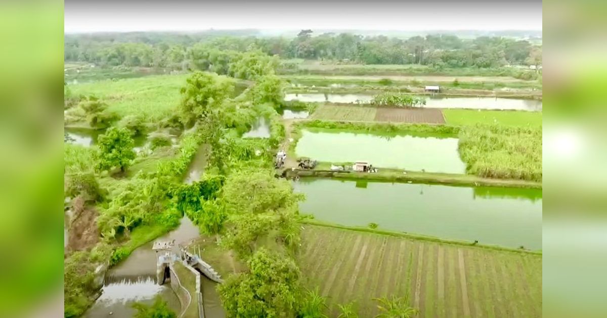 Rasio Gini Tanah 0.78: Reformasi Agraria Mendesak untuk Keadilan dan Kesejahteraan Rakyat